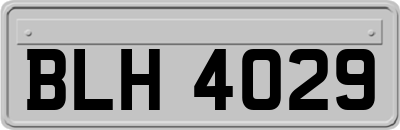 BLH4029