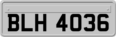 BLH4036