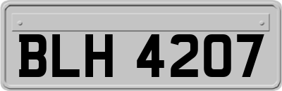 BLH4207
