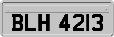 BLH4213