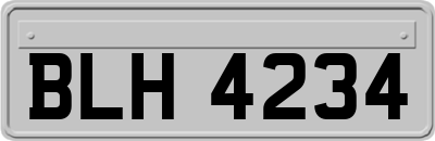 BLH4234