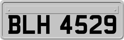 BLH4529