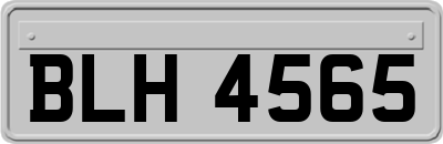 BLH4565