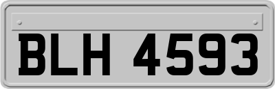BLH4593
