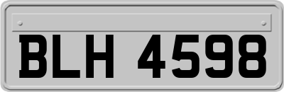 BLH4598
