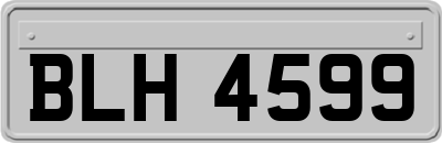 BLH4599