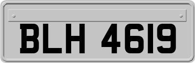 BLH4619