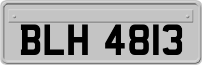 BLH4813