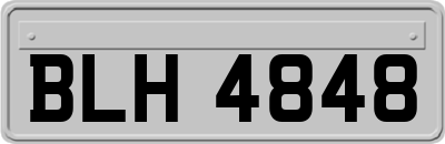 BLH4848