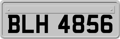 BLH4856