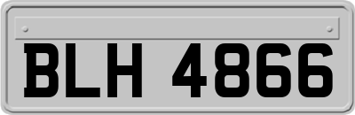 BLH4866