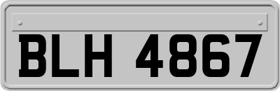 BLH4867