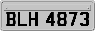 BLH4873