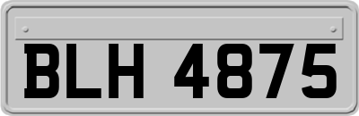 BLH4875