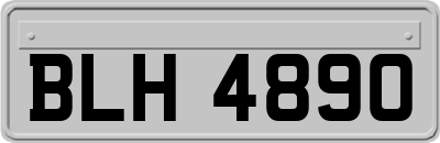 BLH4890