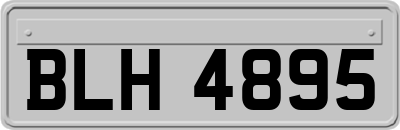 BLH4895