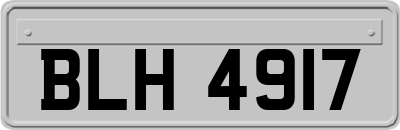BLH4917