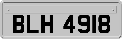 BLH4918