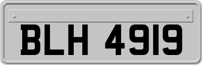 BLH4919