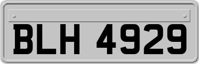 BLH4929