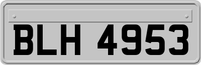 BLH4953