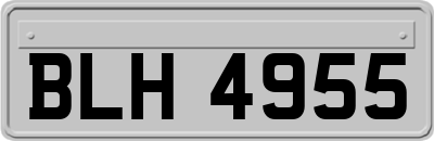 BLH4955