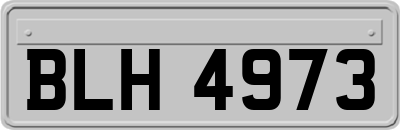 BLH4973