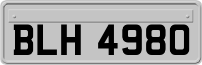 BLH4980