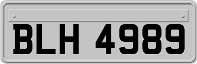 BLH4989