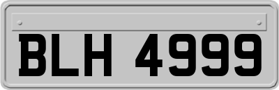 BLH4999