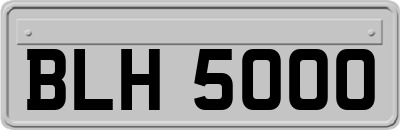 BLH5000