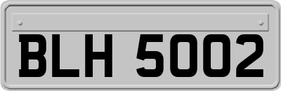 BLH5002