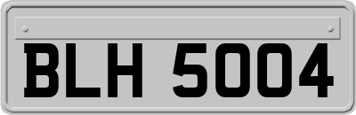 BLH5004