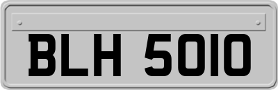 BLH5010