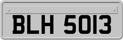 BLH5013