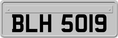 BLH5019