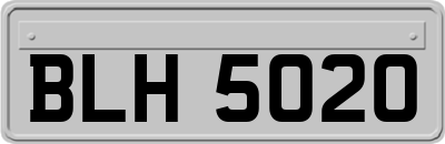BLH5020