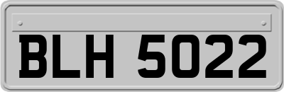 BLH5022