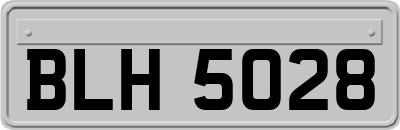 BLH5028
