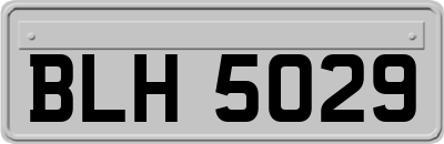 BLH5029