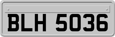 BLH5036