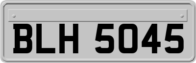 BLH5045
