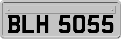 BLH5055