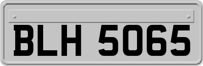 BLH5065