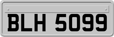 BLH5099