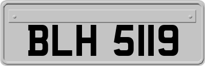 BLH5119