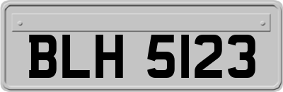 BLH5123