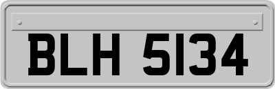 BLH5134