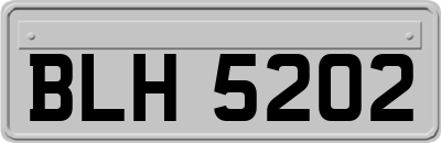 BLH5202