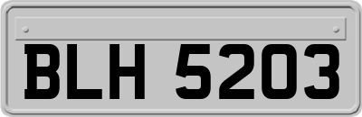 BLH5203